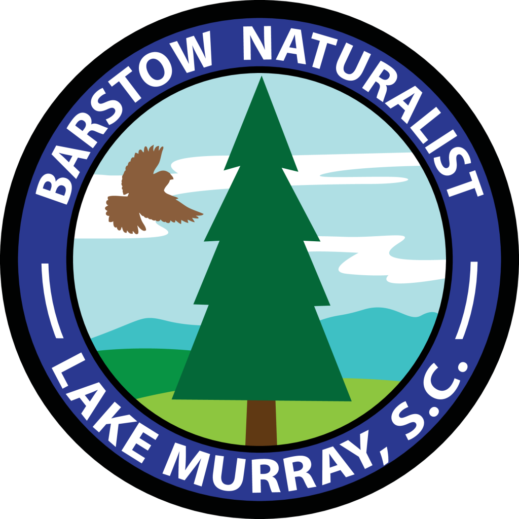 New Merit Badge Bundles Coming in 2020 Camp Barstow